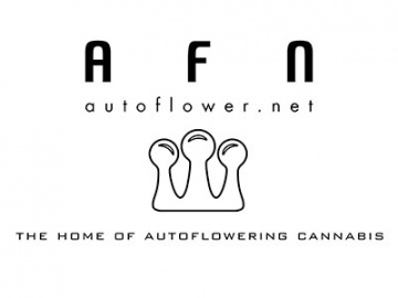 Autoflower