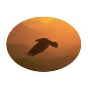 Eagle's Wing Medical