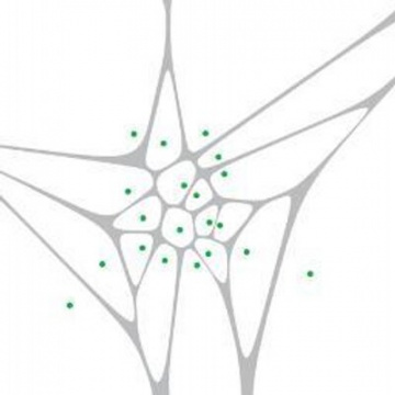 Manifold Architecture