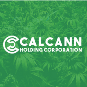 CalCann Holdings
