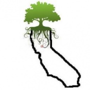 Green Trees Delivery