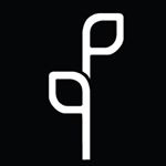 Pistil Point Cannabis Products