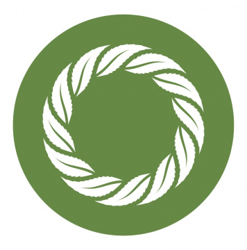 Neurology of Cannabis