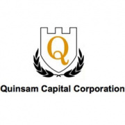 QUINSAM CAP CORP