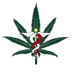 Cannabis Doctors of New York