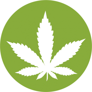 Plant Family Therapeutics