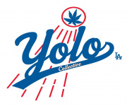 YOLO Collective