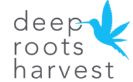 Deep Roots Harvest