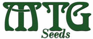 MTG seeds
