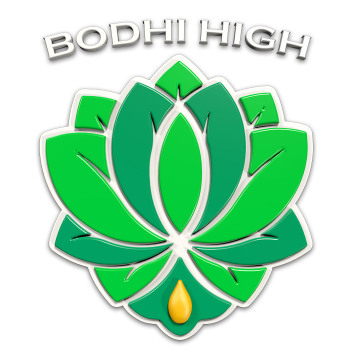 Bodhi High