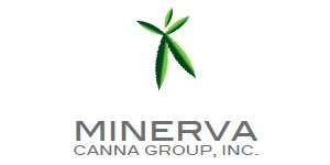 Minerva Canna
