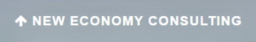 New Economy Consulting