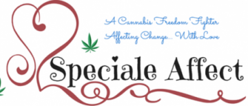 Special Affect Consulting