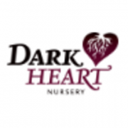 Dark Heart Nursery