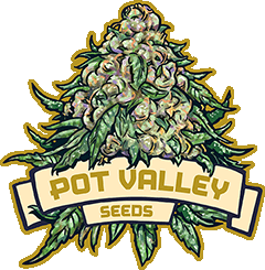 Pot Valley
