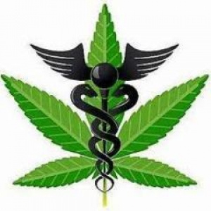 RIVERSIDE CANNABIS CONSULTANTS