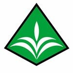 Mass Alternative Care