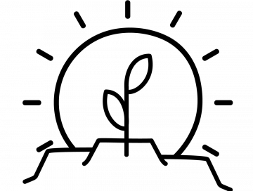 New Mexicann Natural Medicine - Santa Fe