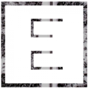 EvolutionZ Consulting