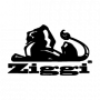Ziggi