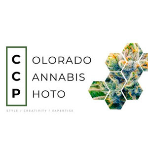 Colorado Cannabis Photo
