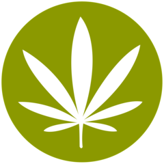 Green Dragon Caregivers, Inc.