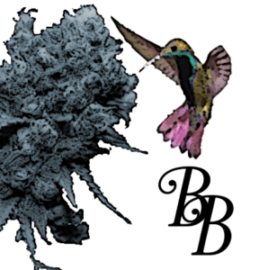 Brave Bird Consulting