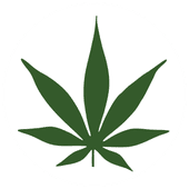 Mount Vernon Cannabis