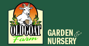 Old Goat Farms