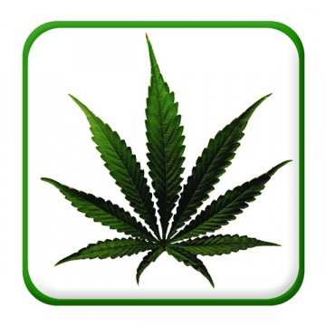 Dr. Reefer Is Cheaper!