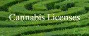 Cannabis Licenses