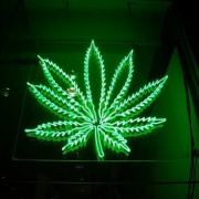 South Gilbert Certification Doctors