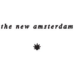 The New Amsterdam - Lakeview