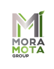Mora Mota Group Inc