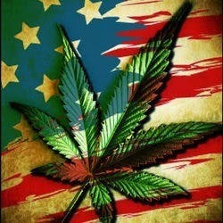 Apothecary Genetics - Mission Viejo