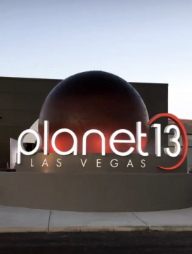 Planet 13