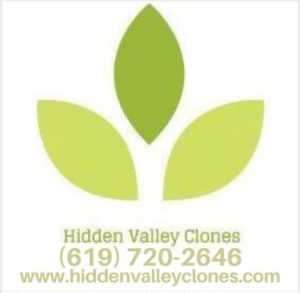 Hidden Valley Clones