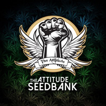 Cannabis Seeds Bank