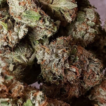 Acadia Cannabis Company