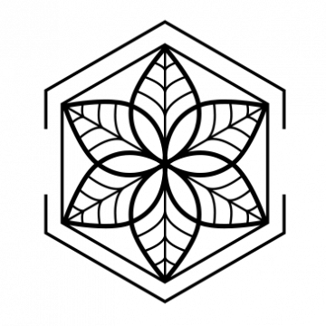 The Higher Conscious