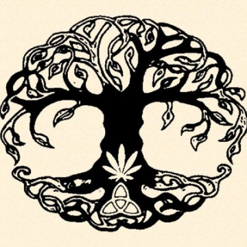 Homegrown The Offering