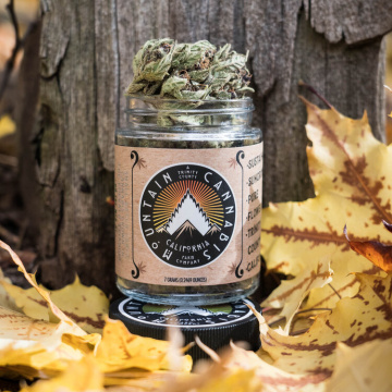 Mountain Cannabis Company LLC