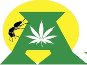 Ant Farm Compassion Club