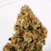 Brothers Cannabis - Division St