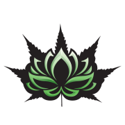 The Nirvana Center - Apache Juction