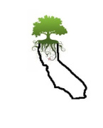 Greens Trees Collective