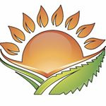 Florida Medical Marijuana