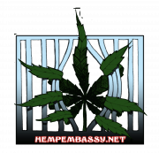 Nimbin HEMP embassy