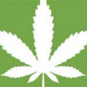 Cannabis Science and Technologies