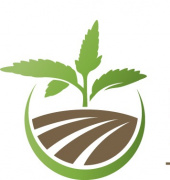 National Hemp Association